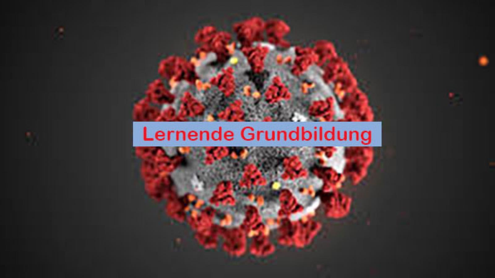 2020-Corona-Lernende 2020-Corona-Lernende