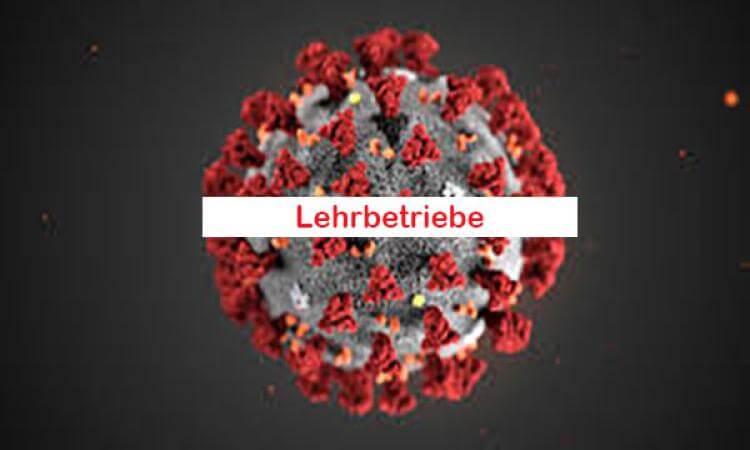 2020-Corona-Lehrbetriebe-Info