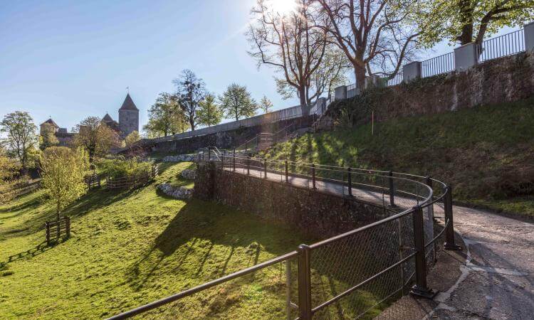 Weg zum Erfolg